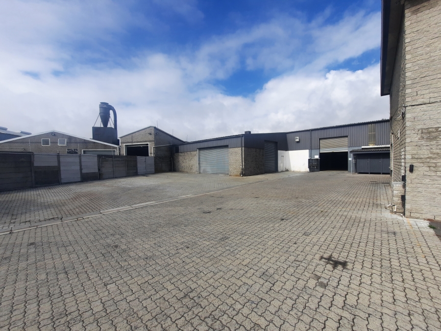 To Let commercial Property for Rent in Ottery Western Cape